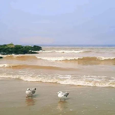 Apartment In Nieuwpoort Near Sandy Beaches, Cleaning Included 아파트 니우포르트